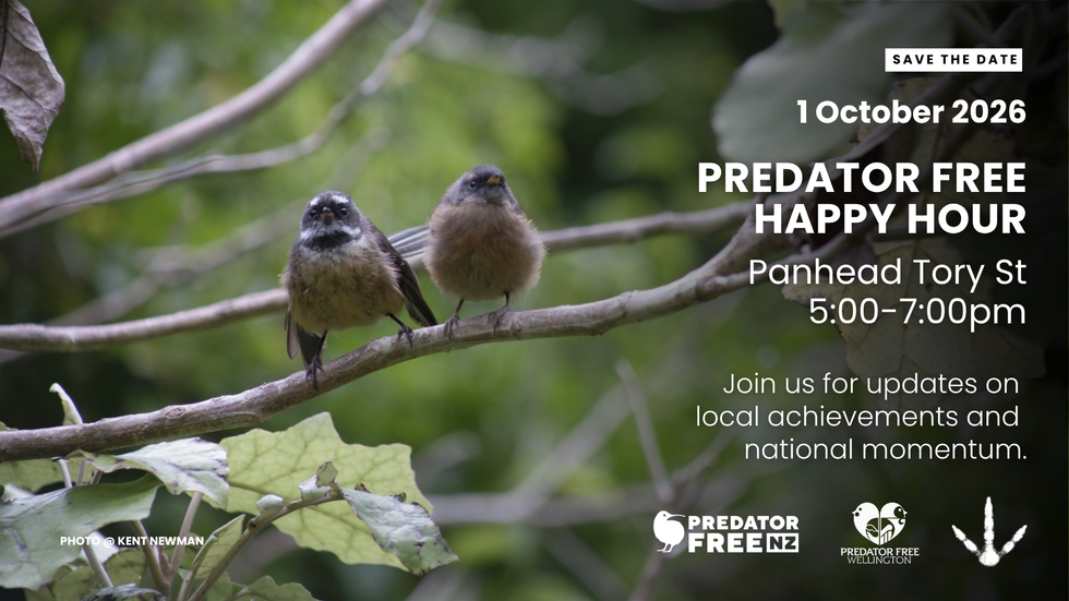 Predator Free Happy Hour Wellington hero image
